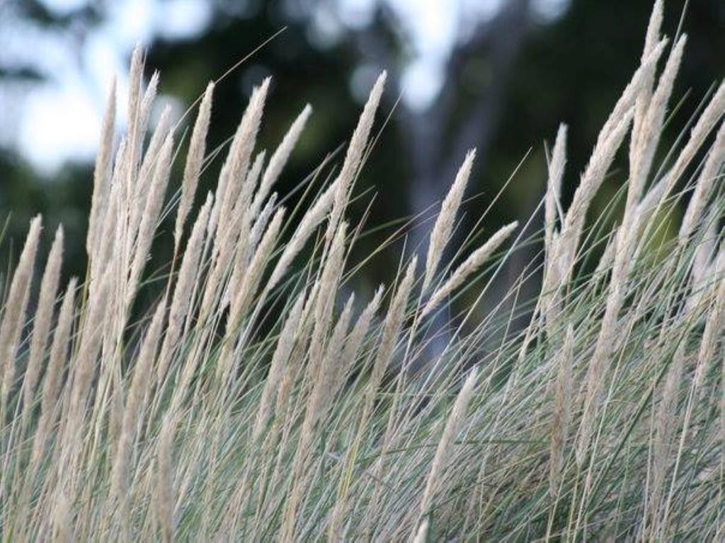 Hoellviksnaes Moeten Mat Logi Hollviken Ngoại thất bức ảnh